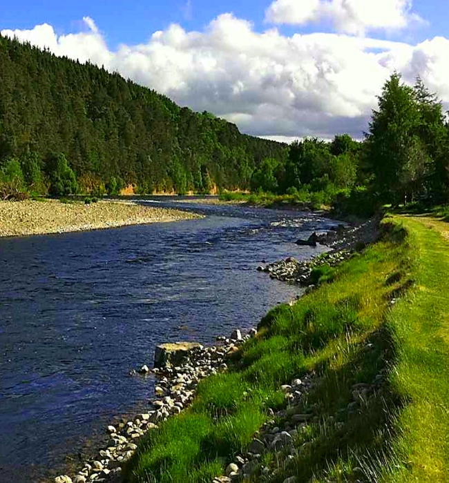 Golf ‘with’, Combinations & Special Interests