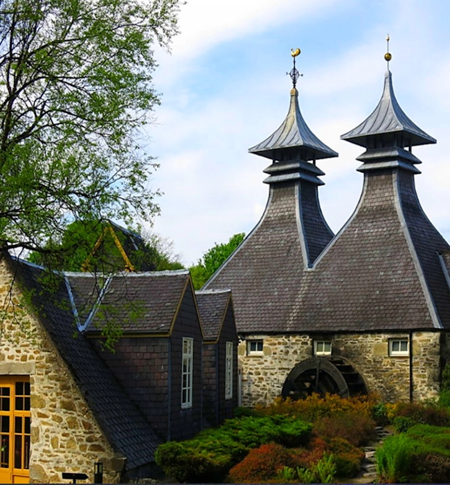 Golf ‘with’, Combinations & Special Interests